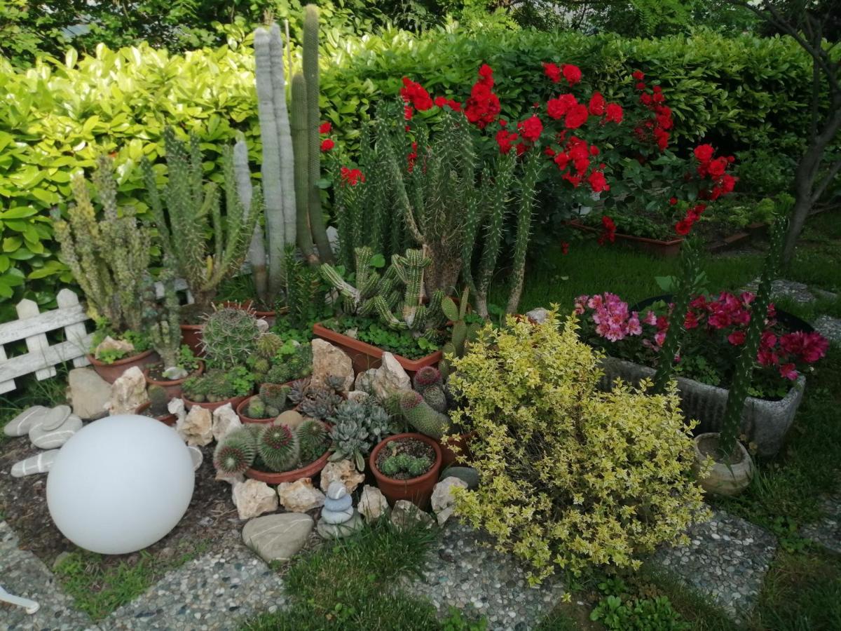 Apartmán La Terrazza Sul Monferrato Ozzano Monferrato Exteriér fotografie